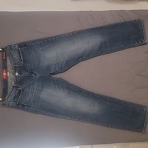 Lucky Brand Women’s Sofia Straight Jeans / Size 14/32 / Excellent Condition